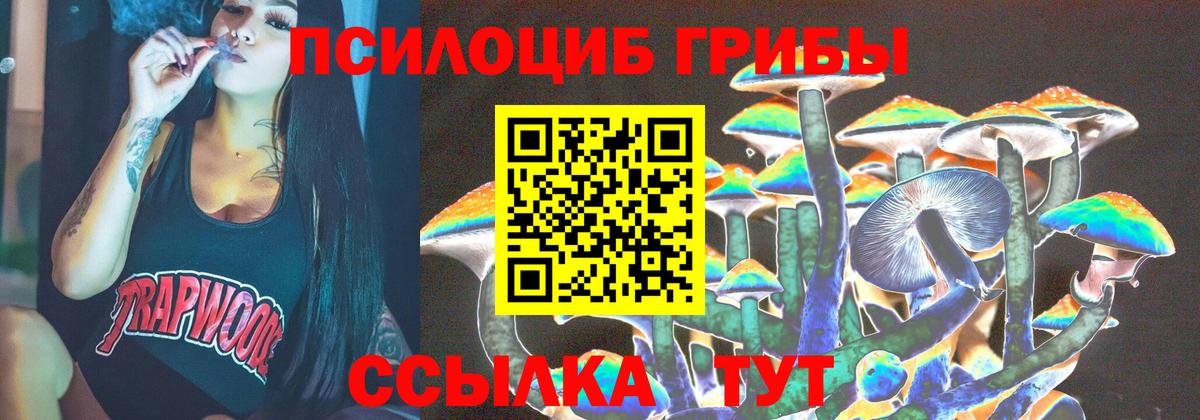 Добрянка  Галлюциногенные грибы прущие грибы  Вход с VPN 